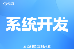云邁科技，系統(tǒng)開(kāi)發(fā)，erp開(kāi)發(fā)